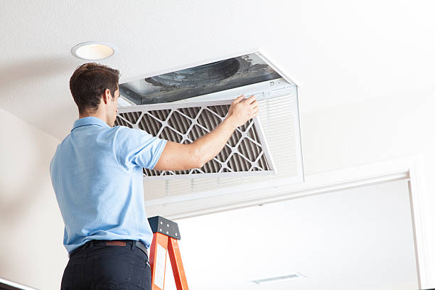 Best Best HVAC Companies  in Mountain View, HI